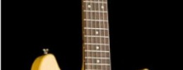 Collings anuncia la 290 DC
