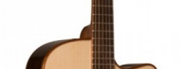 Nueva Washburn WCG25SCE