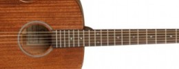 Tanglewood presenta las nuevas Premier Series