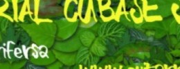 Segundo Tutorial de uso básico de Cubase SX3