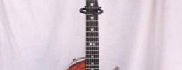 Análisis de la guitarra o3 Custom Oxygen "Star"