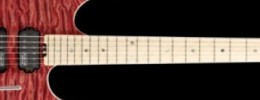Schecter Guitar Research Japan 2013