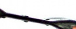 Cachivaches