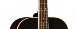 Washburn anuncia la nueva signature de Warren Haynes