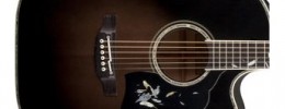 Takamine LTD2014 Grouse edición limitada