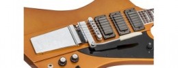 Gibson Skunk Baxter Firebird