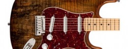 Nuevas series Artisan y Master Design desde la Fender Custom Shop