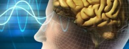 Un estudio revela que el cerebro de los guitarristas funciona de forma diferente al de los demás