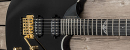 Nueva Washburn Palau, la signature de David Palau