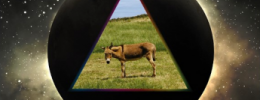 Gov't Mule presentan "Dark Side of The Mule", un DVD con versiones de Pink Floyd