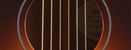 Breedlove diseña la acústica más ligera de su historia, la USA Concert Moonlight