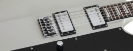 Schecter UltraCure XII, una 12 cuerdas Signature de Robert Smith
