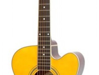 Nuevas Epiphone signature de Joan Sebastian