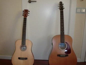 La Ibanez que vino a mi Vol. XIII