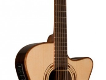 Nueva Washburn WCG25SCE