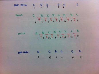 De principiante a principiante: escala pentatónica menor