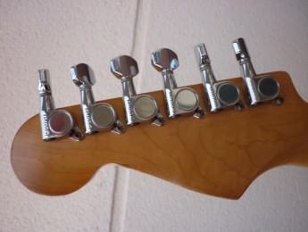 Fernandes R8 - The Revival