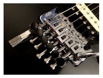 EVH D-Tuna presenta el nuevo puente Titanium