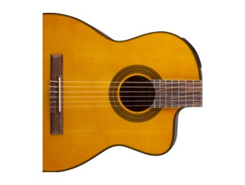Takamine añade modelos clásicos y bajos acústicos a su serie G