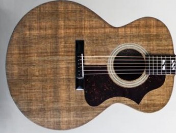 Blackbird Guitars anuncia "El Capitan", la primera guitarra hecha de Ekoa