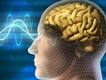 Un estudio revela que el cerebro de los guitarristas funciona de forma diferente al de los demás