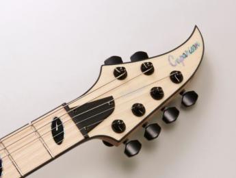Caparison Dellinger-JSM, la signature del guitarrista de Killswitch Engage