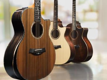 Refuerzos V-Class: la gran innovación de Taylor para 2018