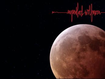 Pearl Jam estrenan el single "Superblood Wolfmoon" extraído de su nuevo álbum "Gigaton"