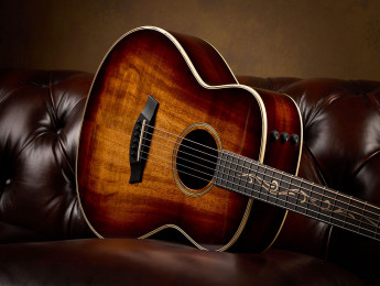 Taylor 2021: dos nuevos modelos Grand Theater con C-Class bracing