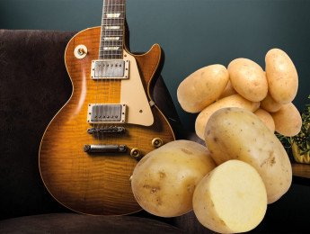 ¿Por qué discuten los guitarristas? Los debates no resueltos más populares del mundo de la guitarra