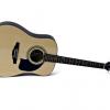 Lyon by Washburn Acoustic Guitar