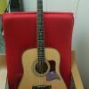 Tanglewood TW 115 as