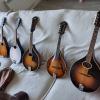 Mandolinas Levin 1910-1964