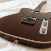 Jay Turser Jt-lt-rw  Telecaster Harrison  Rosewood