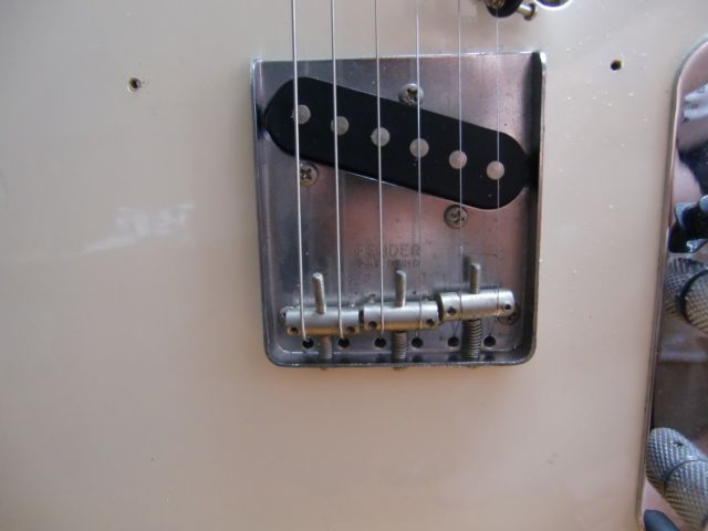 11981.jpg