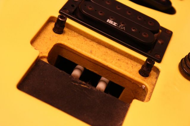 19573.jpg