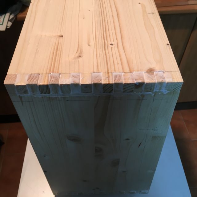 31583.jpg