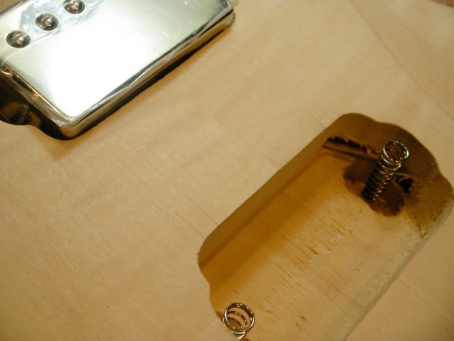 8636.jpg