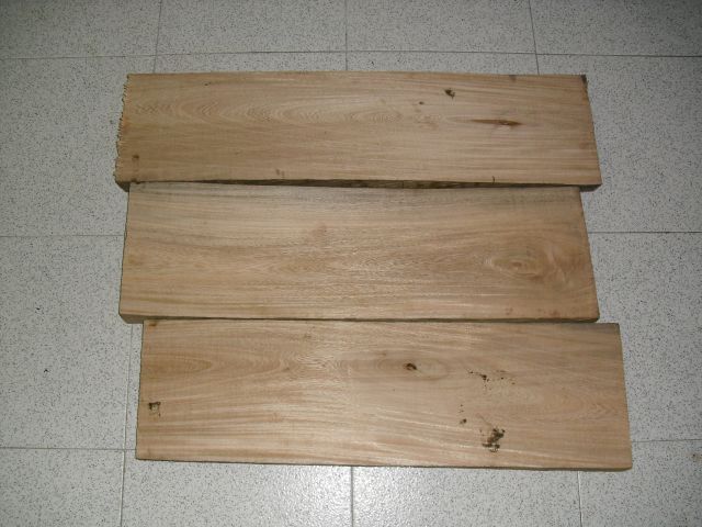 9729.jpg