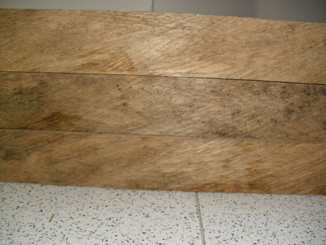 9731.jpg