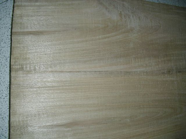 9830.jpg
